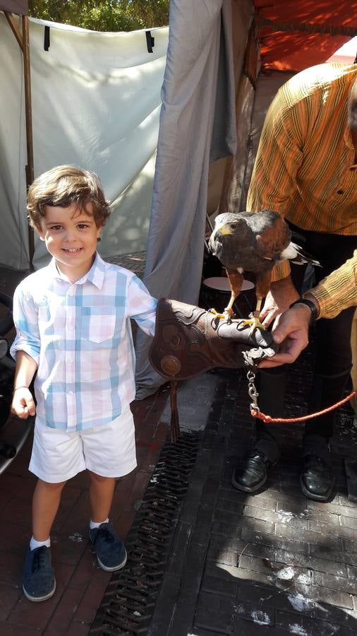 Las fotografías de la Feria Renacentista de Medina del Campo enviadas por los usuarios de El Norte de Castilla