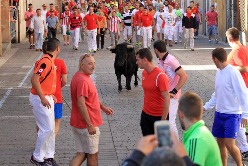Segundo encierro en las fiestas de Cuellar