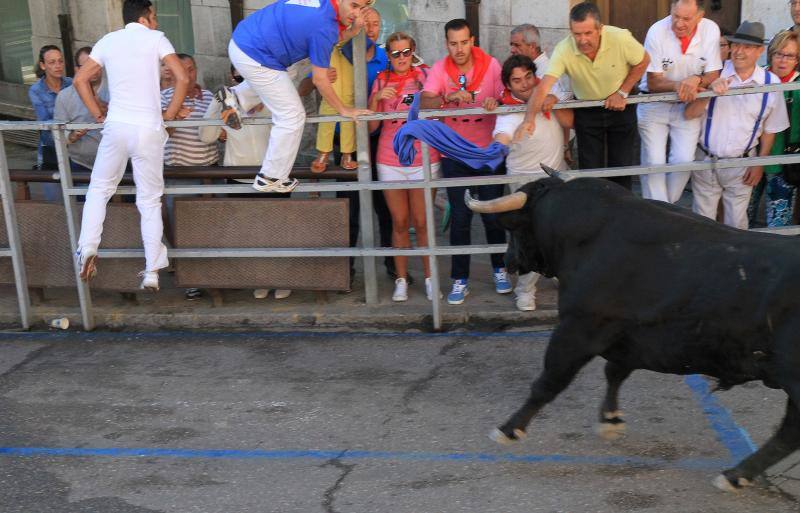 Segundo encierro en las fiestas de Cuellar