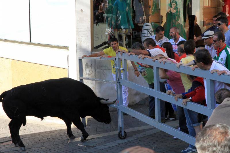 Segundo encierro en las fiestas de Cuellar
