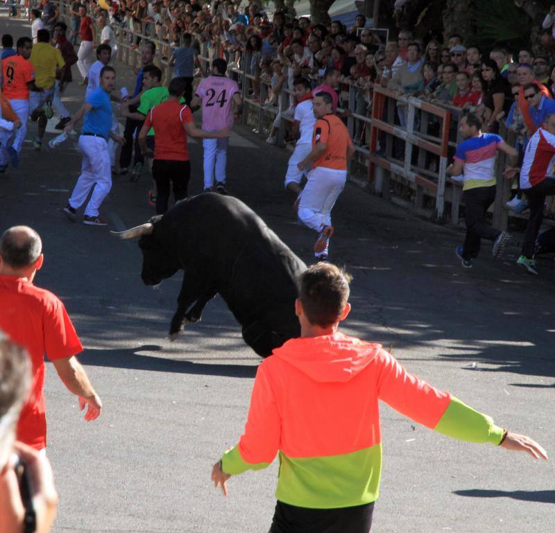 Segundo encierro en las fiestas de Cuellar