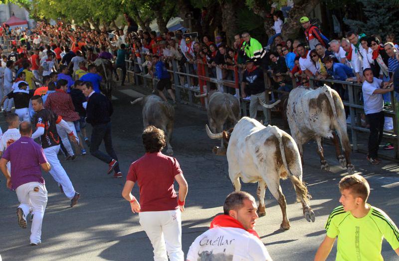 Tercer encierro en las fiestas de la Virgen del Rosario en Cuéllar
