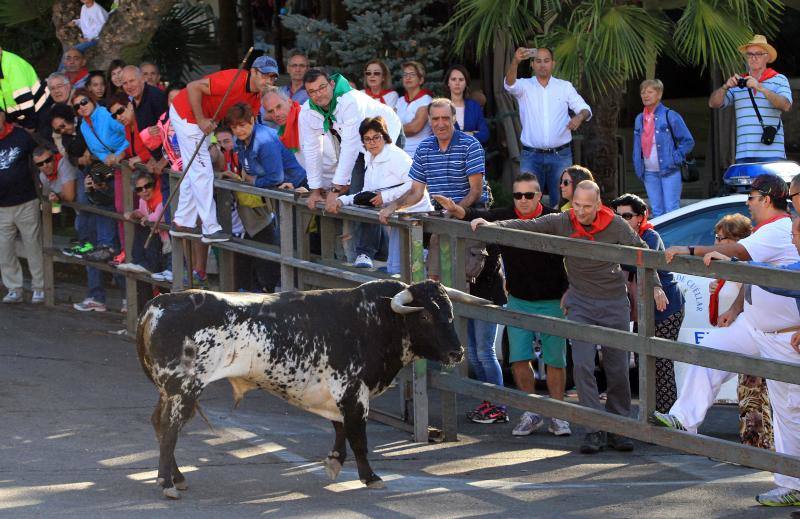 Tercer encierro en las fiestas de la Virgen del Rosario en Cuéllar