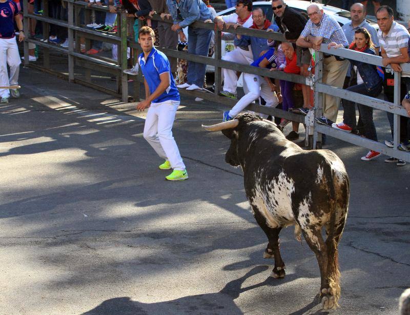 Tercer encierro en las fiestas de la Virgen del Rosario en Cuéllar
