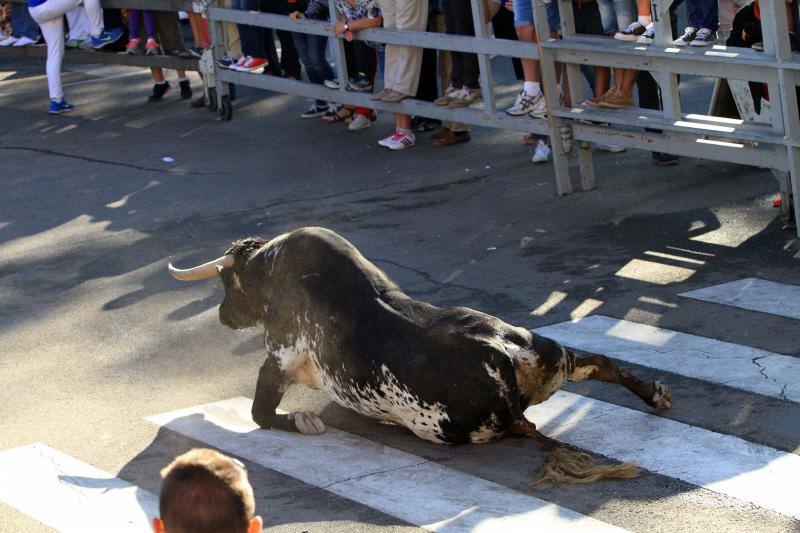 Tercer encierro en las fiestas de la Virgen del Rosario en Cuéllar