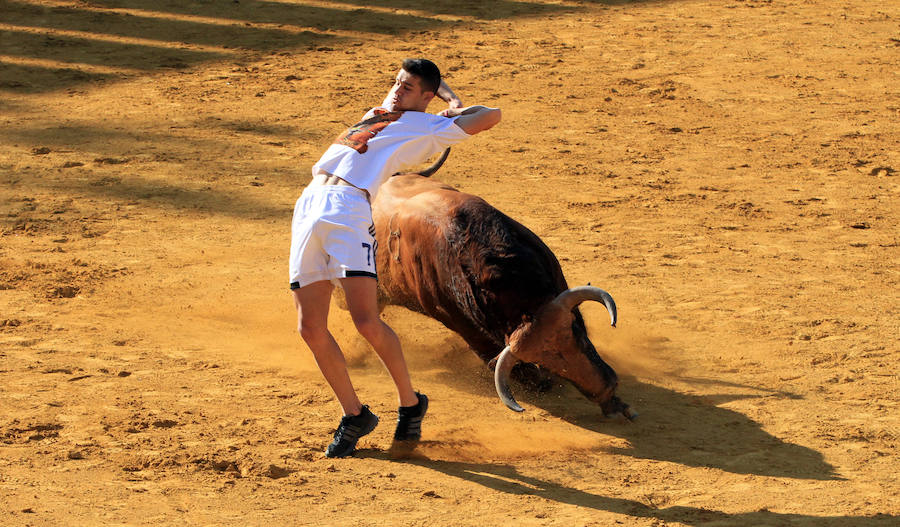 Cuarto encierro en las fiestas de Cuéllar