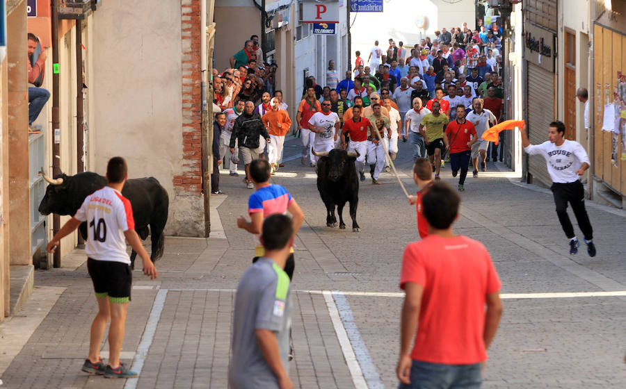 Cuarto encierro en las fiestas de Cuéllar