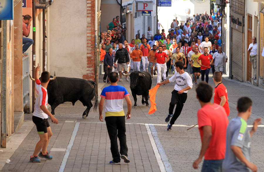 Cuarto encierro en las fiestas de Cuéllar