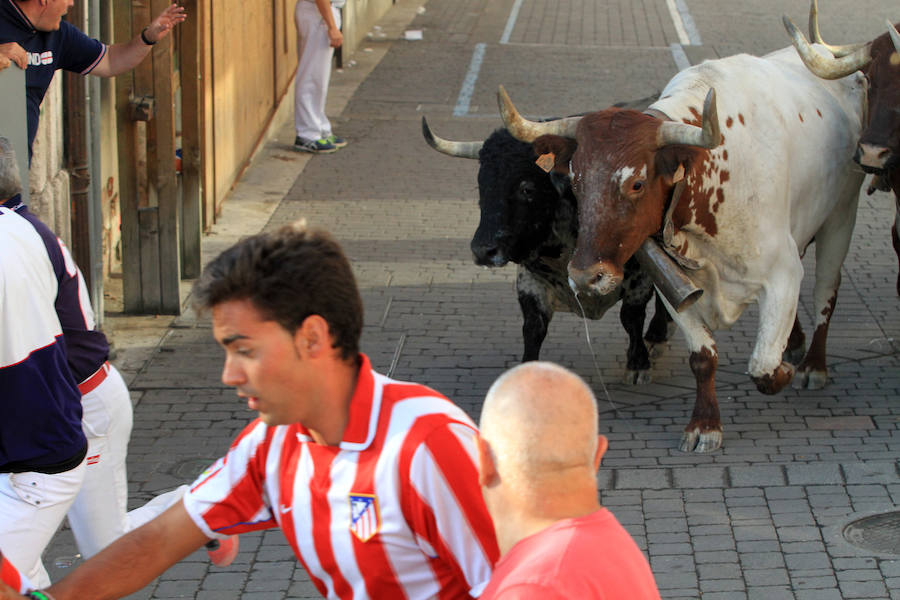 Cuarto encierro en las fiestas de Cuéllar