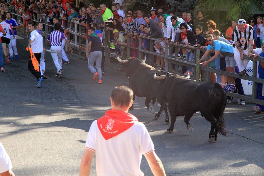 Cuarto encierro en las fiestas de Cuéllar