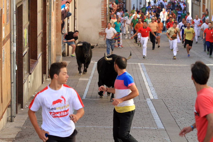 Cuarto encierro en las fiestas de Cuéllar