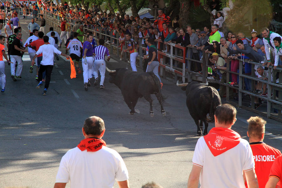 Cuarto encierro en las fiestas de Cuéllar