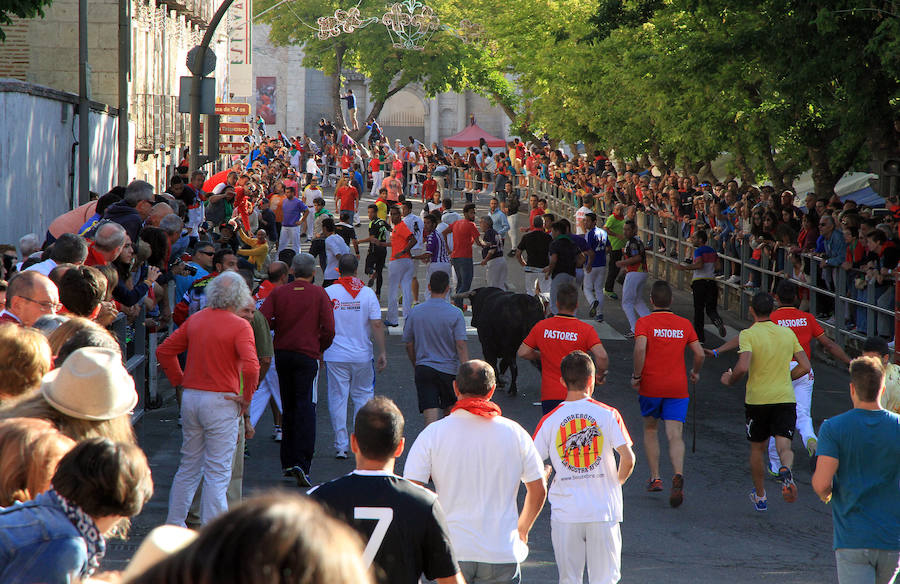 Cuarto encierro en las fiestas de Cuéllar
