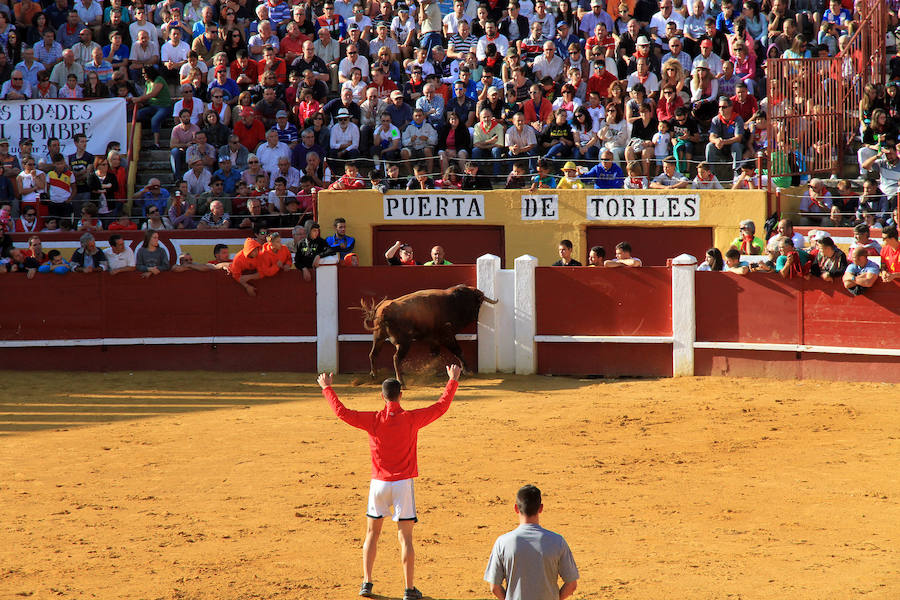 Cuarto encierro en las fiestas de Cuéllar