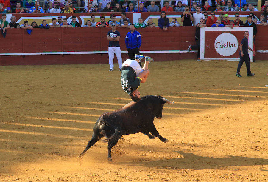 Cuarto encierro en las fiestas de Cuéllar