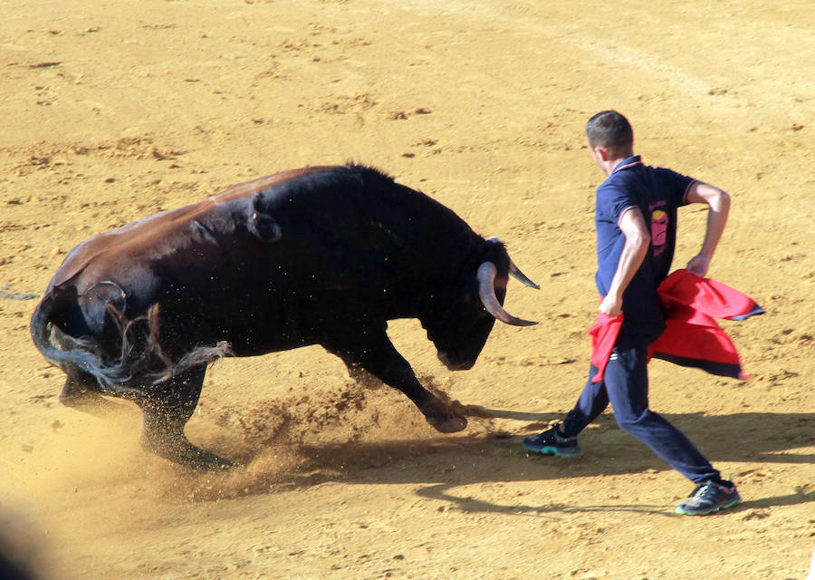 Cuarto encierro en las fiestas de Cuéllar