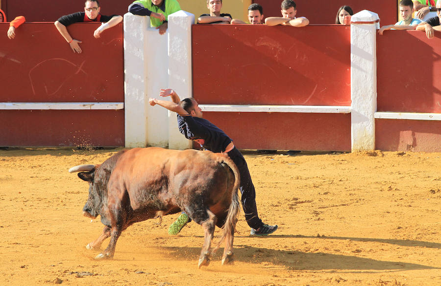 Cuarto encierro en las fiestas de Cuéllar