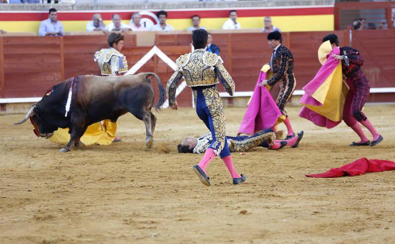 Cogida a Roca Rey en Palencia