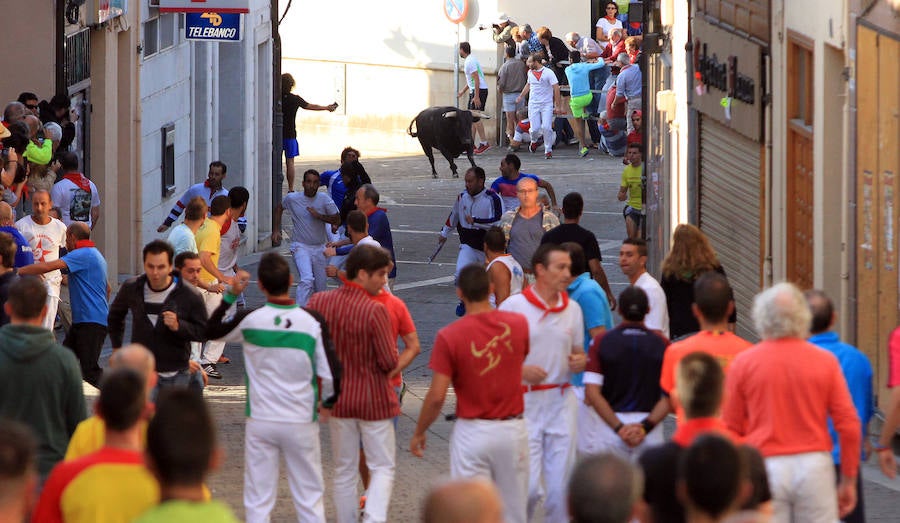 Quinto encierro en las fiestas de Cuéllar