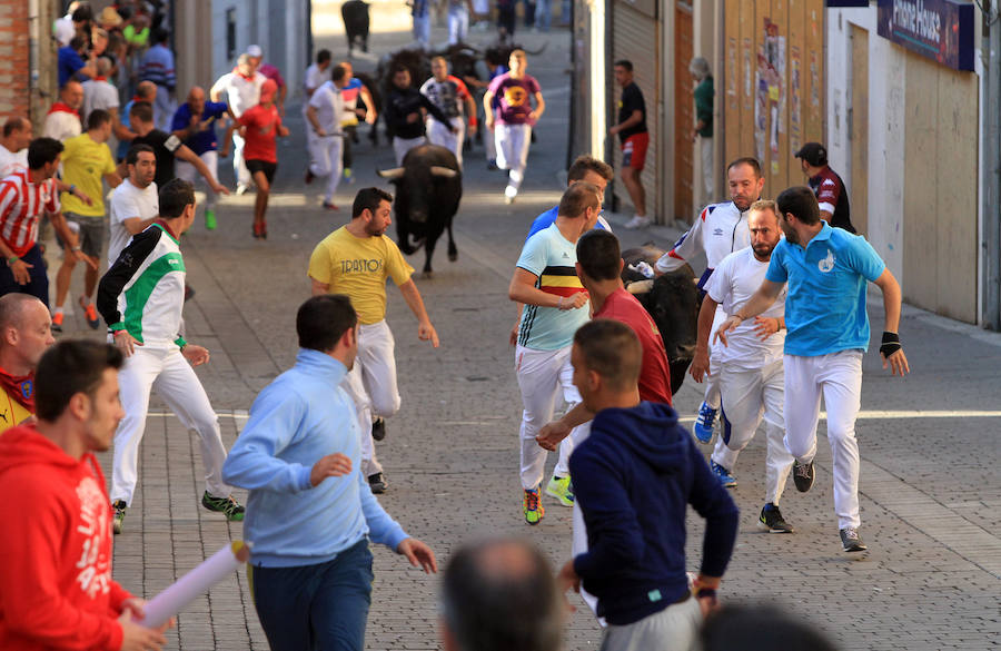 Quinto encierro en las fiestas de Cuéllar