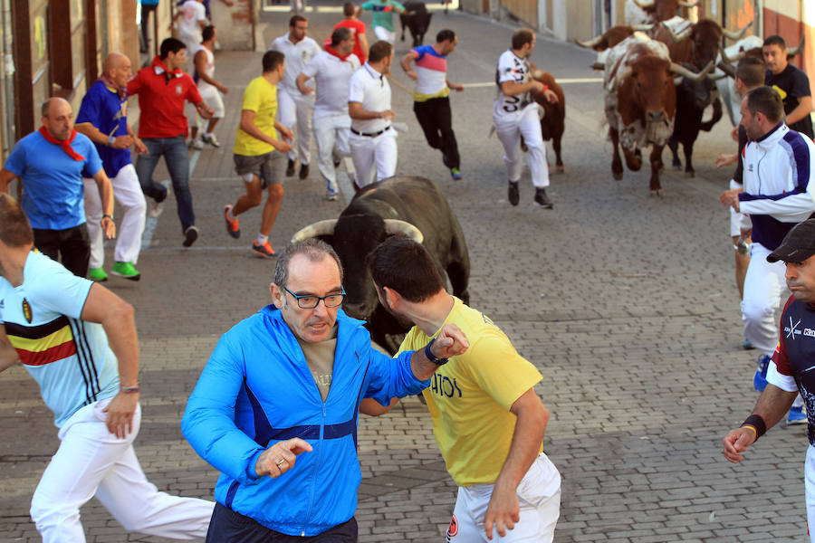 Quinto encierro en las fiestas de Cuéllar