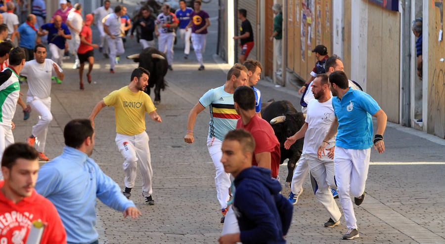 Quinto encierro en las fiestas de Cuéllar