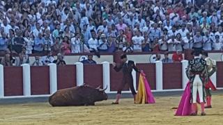 Corrida en homenaje a Víctor Barrio