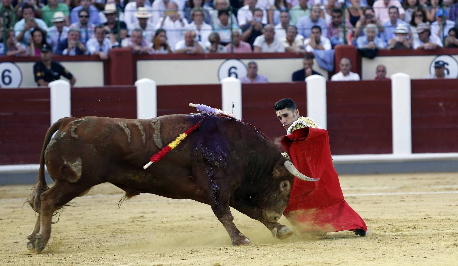 Apoteosis torera por Víctor Barrio (1/2)