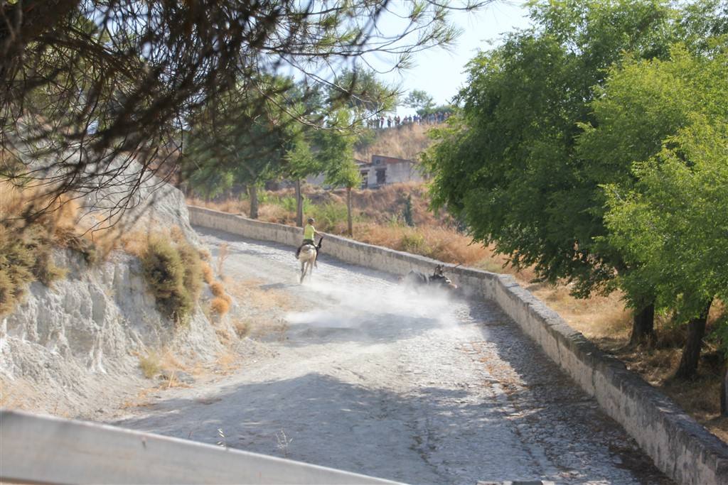 Primer encierro por el campo de las fiestas de Portillo