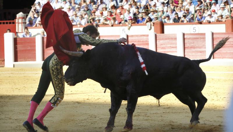 Corrida de Toros de José Tomás y José María Manzanares en Valladolid (2/2)