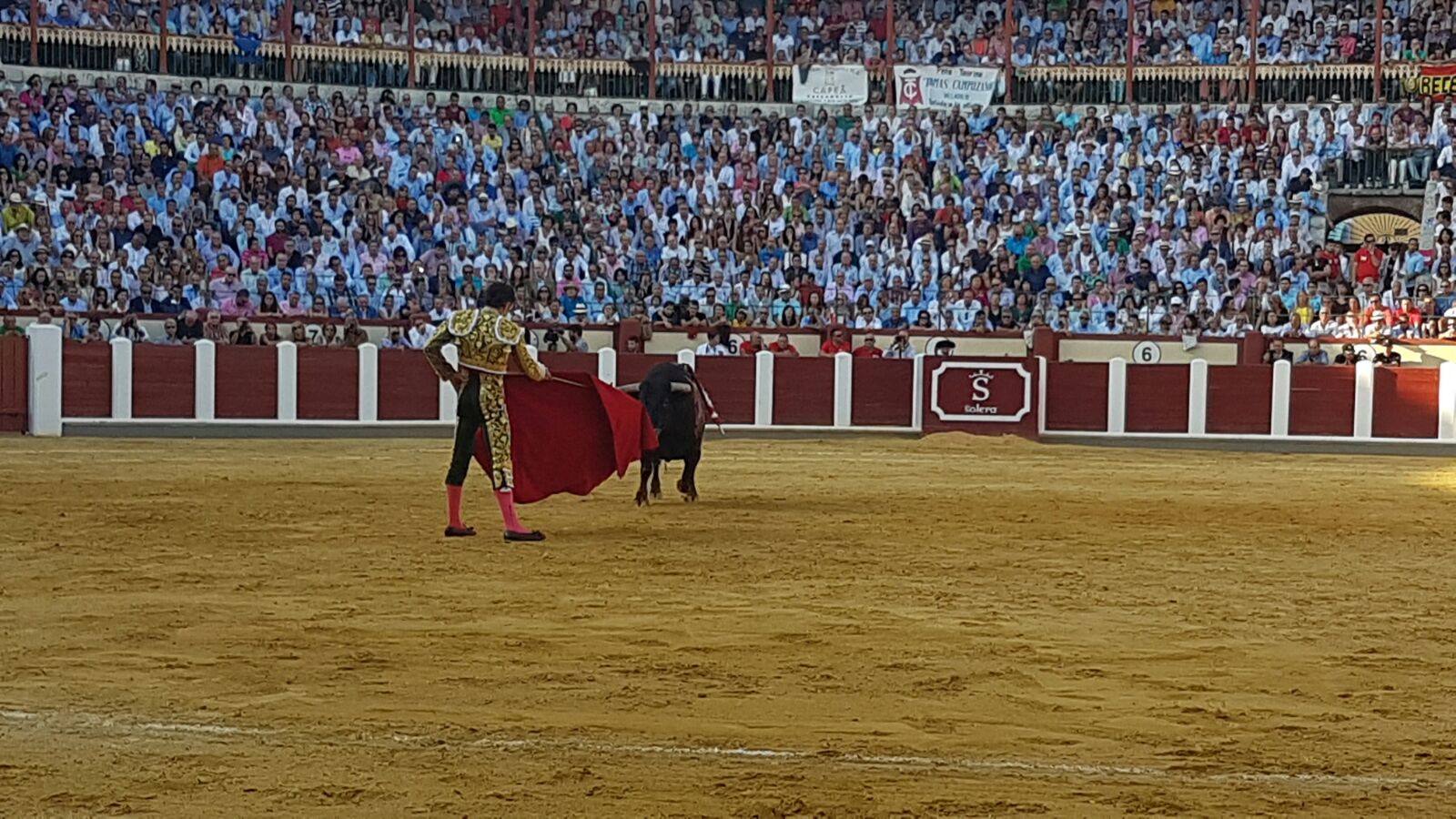 Corrida de Toros de José Tomás y José María Manzanares en Valladolid (1/2)