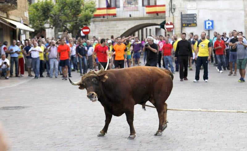 Astudillo celebra su tradicional &#039;toro enmaromado&#039;