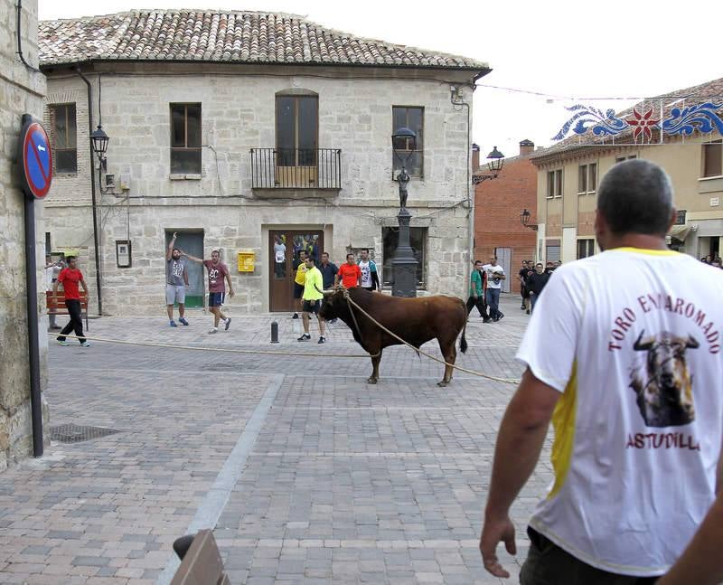 Astudillo celebra su tradicional &#039;toro enmaromado&#039;