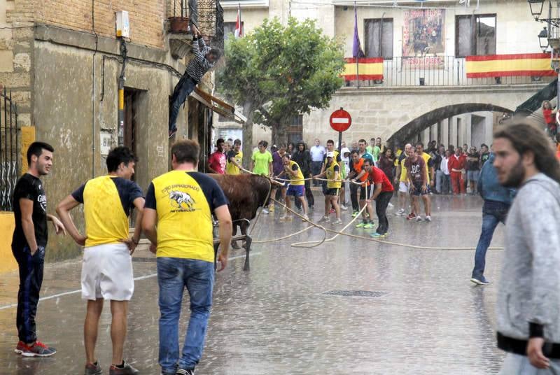 Astudillo celebra su tradicional &#039;toro enmaromado&#039;