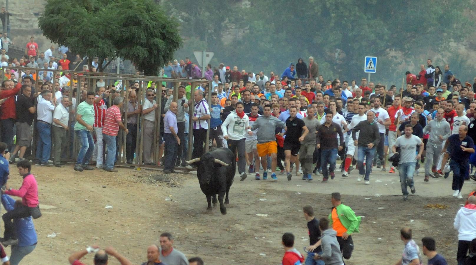 Tordesillas celebra su primer Toro de la Peña