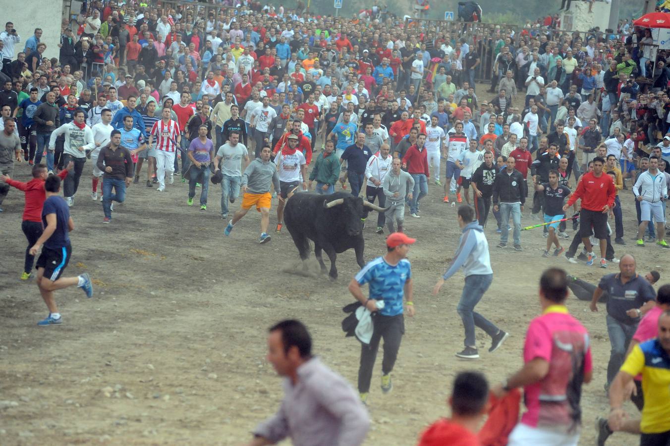 Tordesillas celebra su primer Toro de la Peña