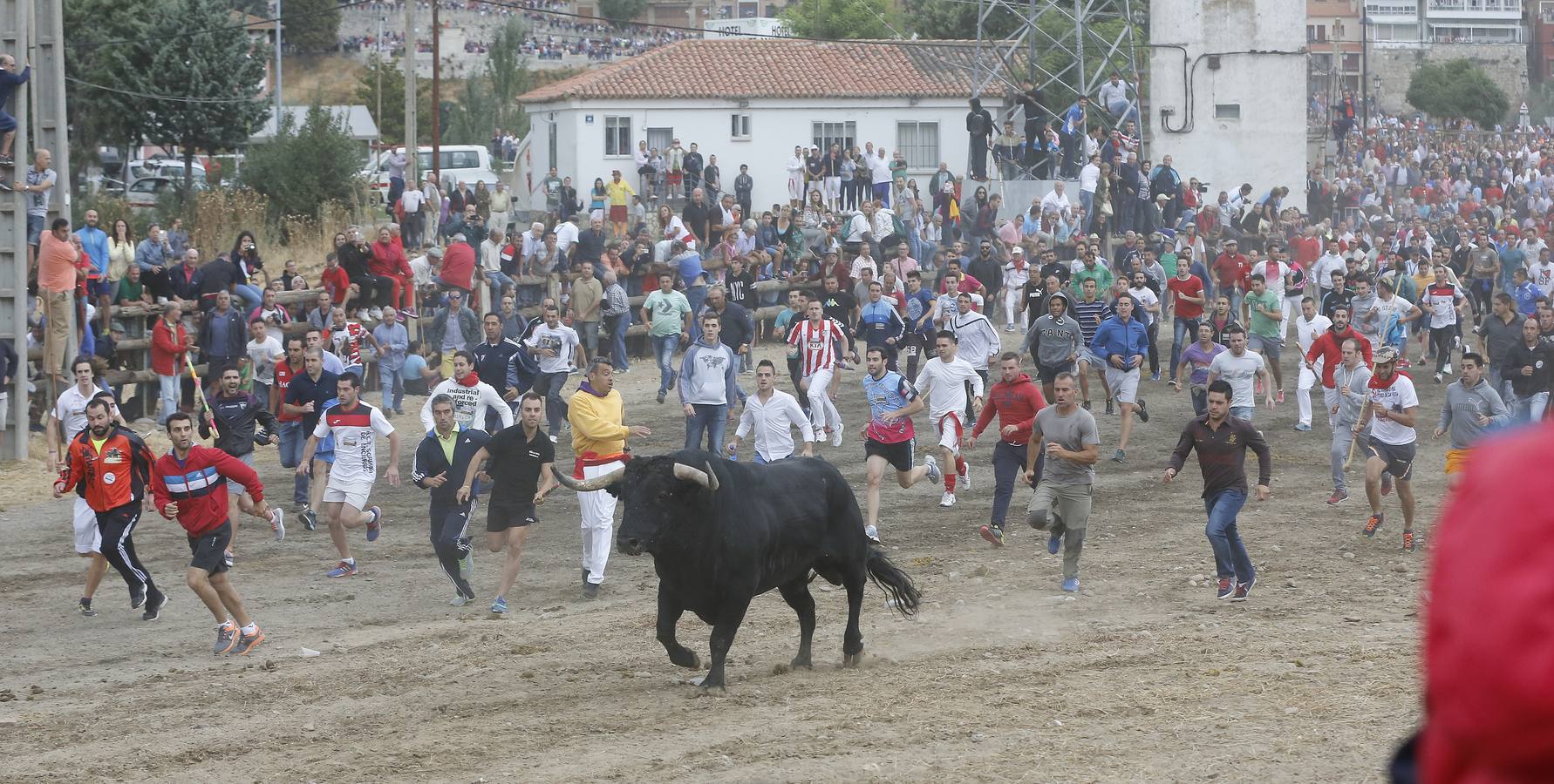 Tordesillas celebra su primer Toro de la Peña