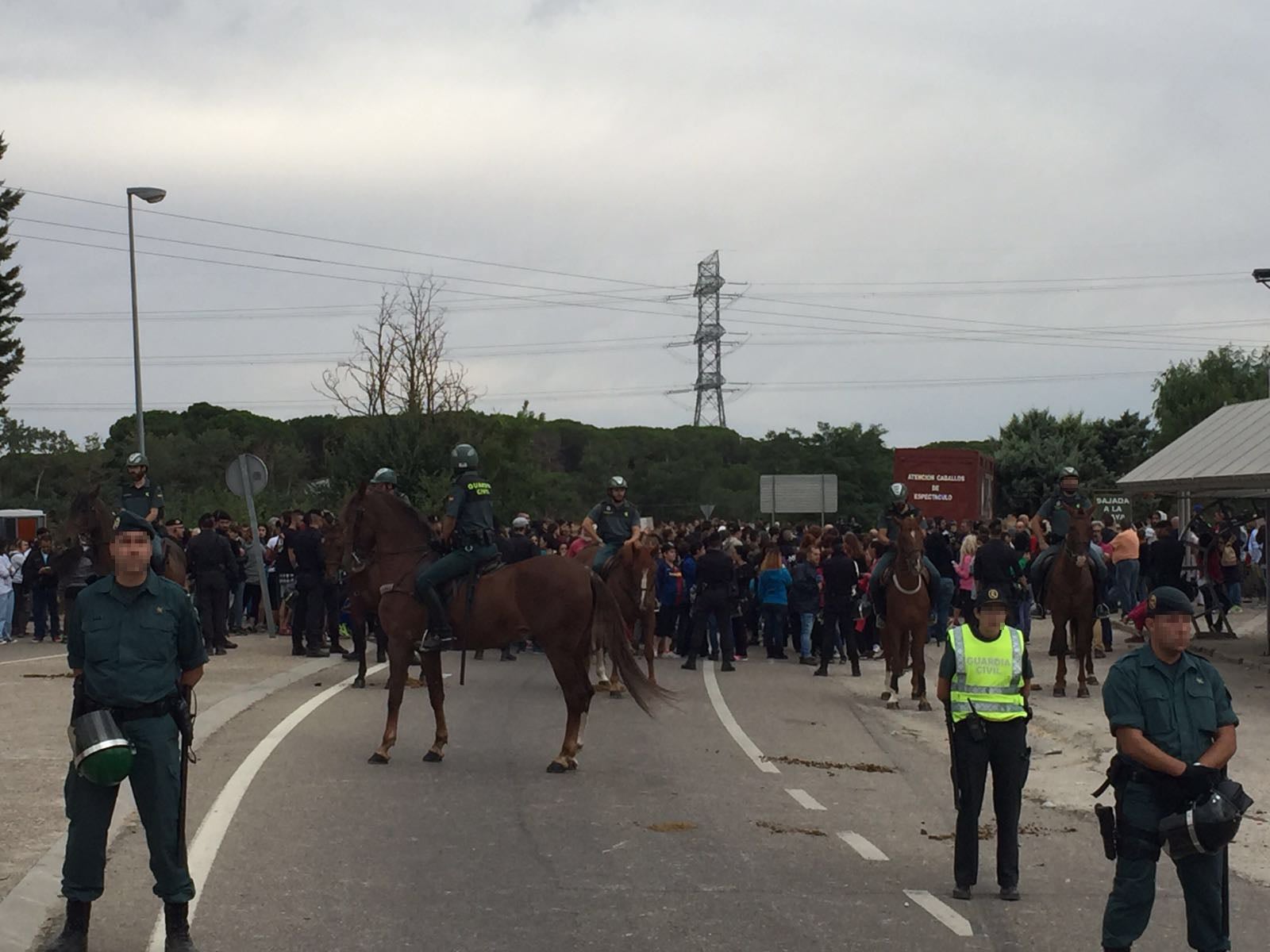 Expectación en Tordesillas en la celebración del primer Toro de la Peña