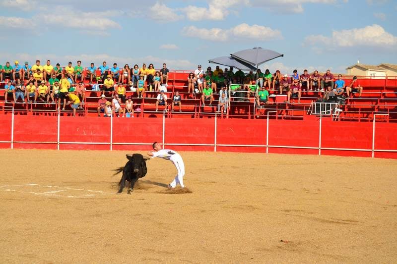 Fiestas en Astudillo (Palencia)