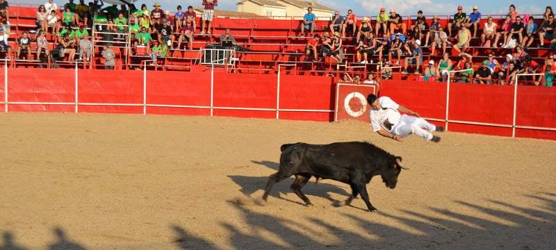 Fiestas en Astudillo (Palencia)