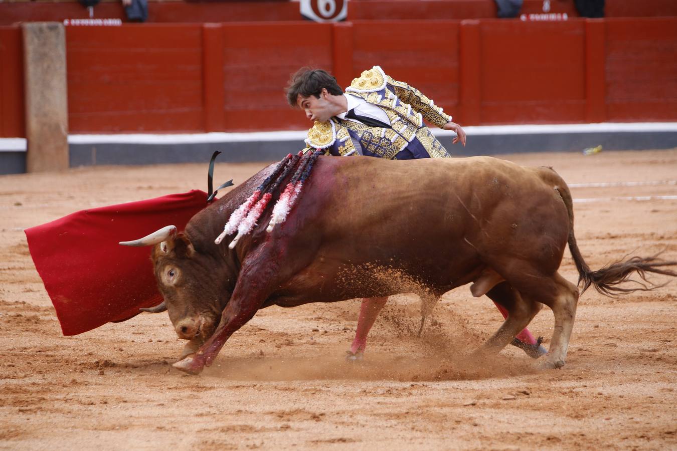 Morante de la Puebla, El Juli y Juan del Álamo, en la cuarta corrida de toros de la Feria de Salamanca