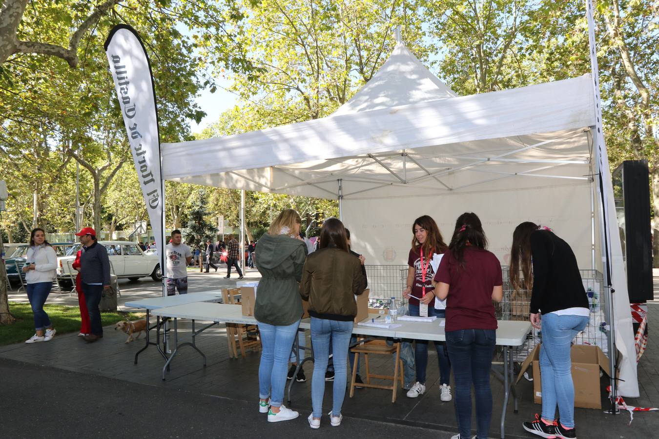 Público en la cuarta edición del Valladolid Motor Vintage (1/3)