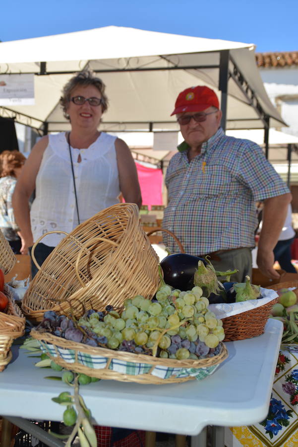 I Feria de Productos Hortícolas y de Artesanía de Lumbrales (Salamanca)