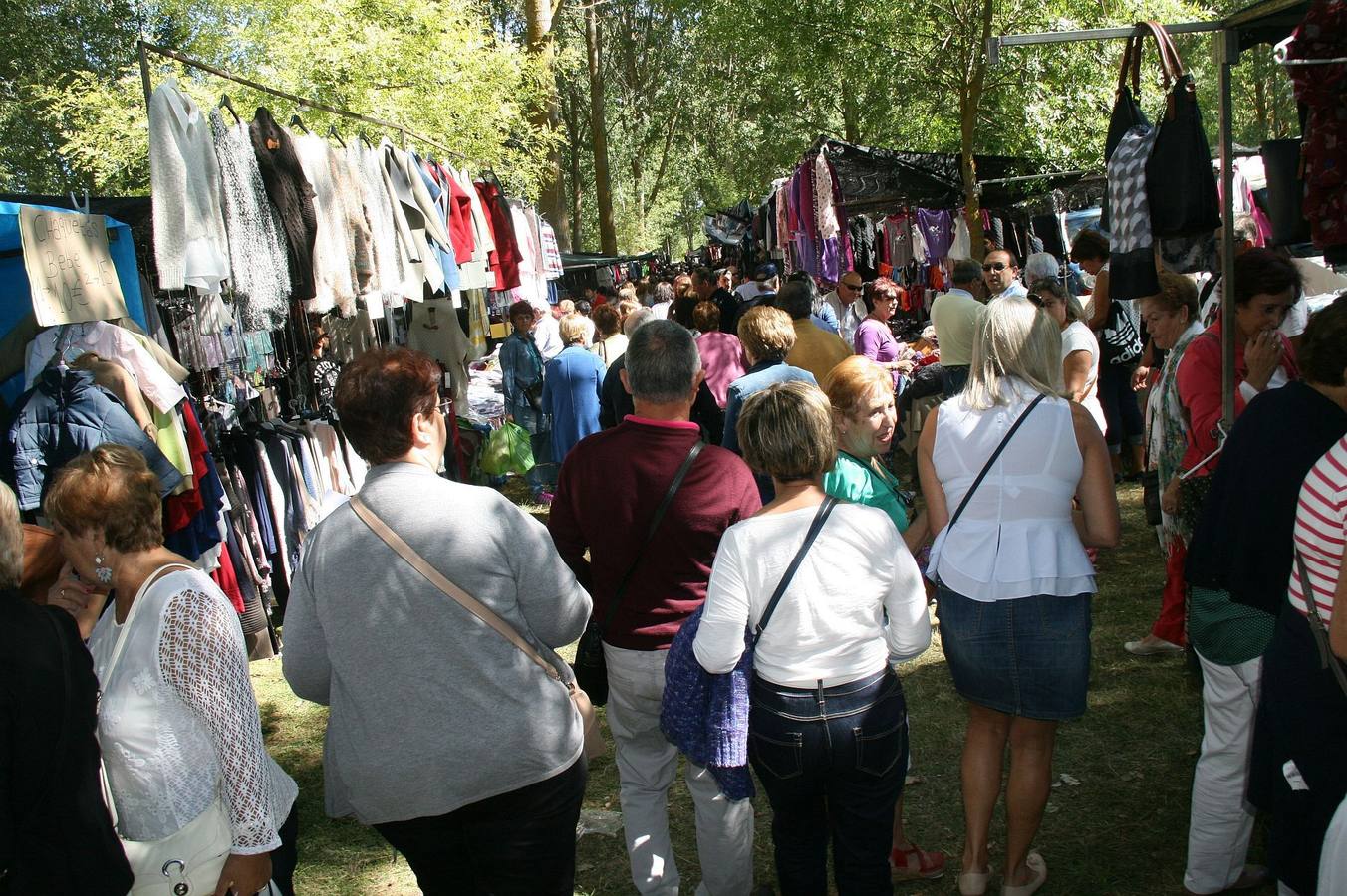 Miles de romeros se reúnen en El Henar para festejar a la Virgen en su día grande