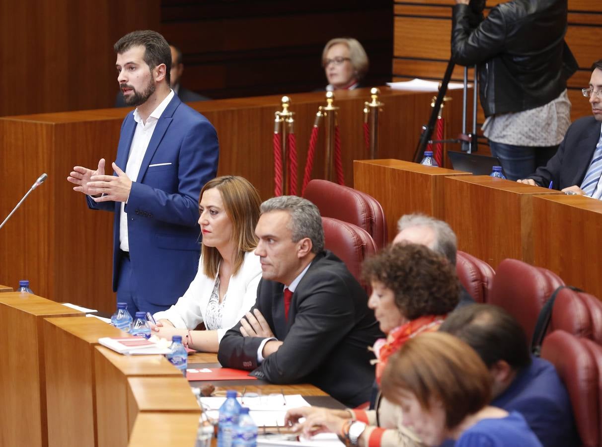 Pleno en las Cortes de Castilla y León