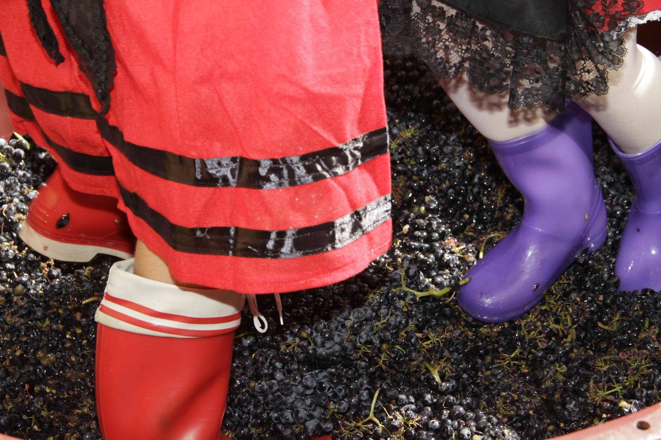 Fiesta de la Vendimia en Curiel de Duero