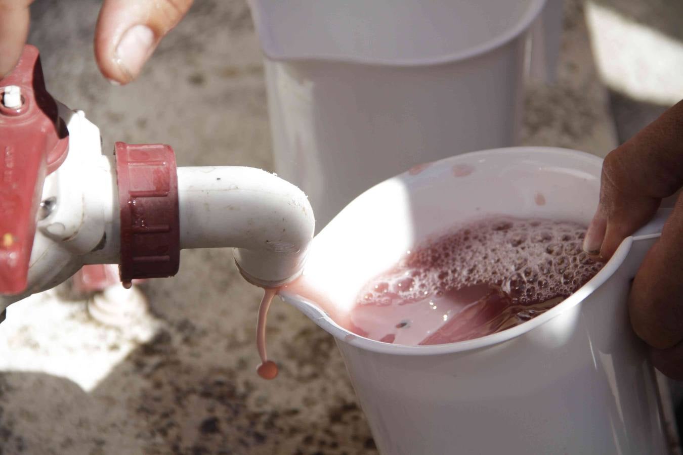 Fiesta de la Vendimia en Curiel de Duero