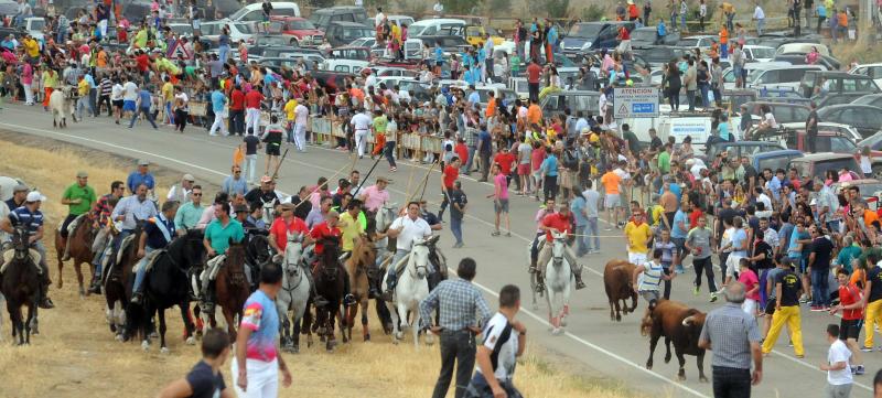 Encierro del viernes por la tarde en Olmedo