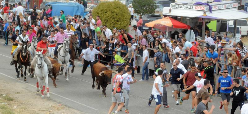 Encierro del viernes por la tarde en Olmedo