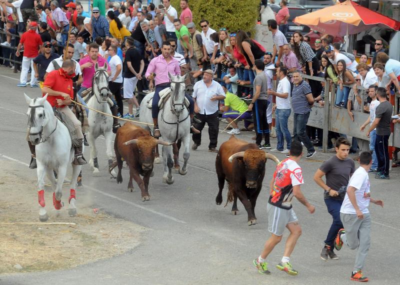 Encierro del viernes por la tarde en Olmedo